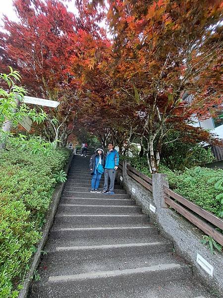 112.5.7.太平山 (26).jpg