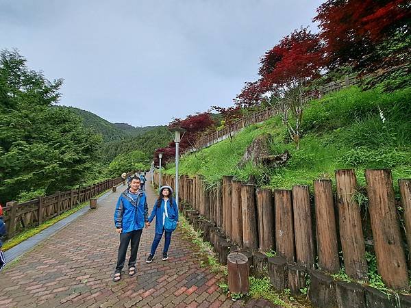 112.5.7.太平山 (45).jpg