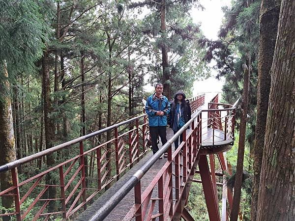 112.5.7.太平山 (56).jpg