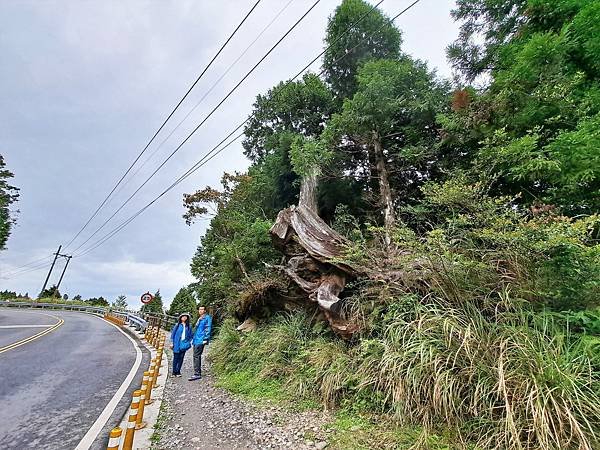 112.5.7.太平山 (160).jpg