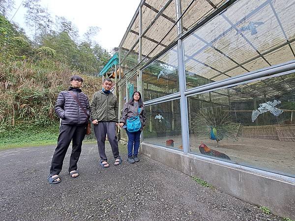 112.12.24鳳凰谷鳥園生態園區(中)