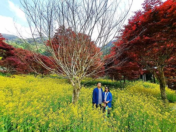 113.4.14.杉林溪 (122).jpg