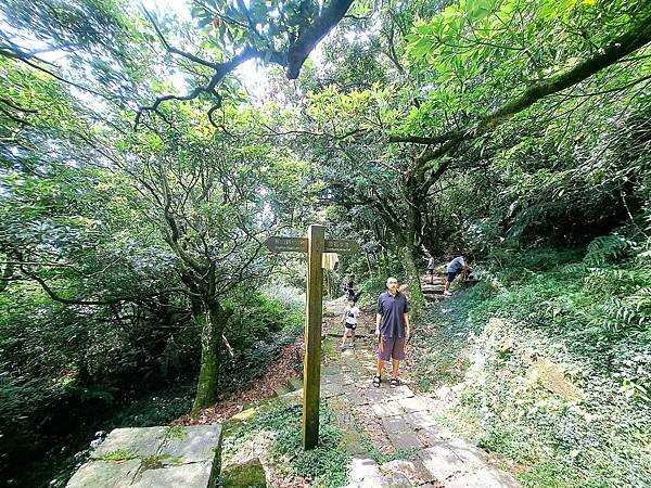 113.7.21七星山-冷水坑段(上)