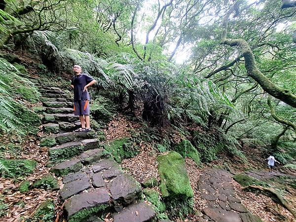 113.7.21七星山-冷水坑段(上)