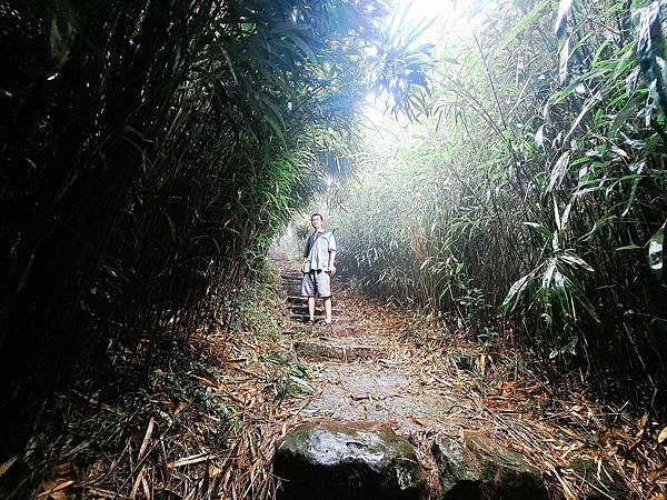 113.8.18大屯山主峰(上)