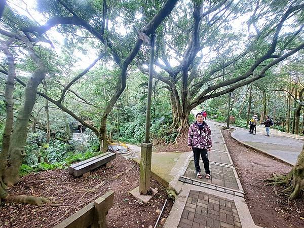 113.12.27虎頭山公園(下)