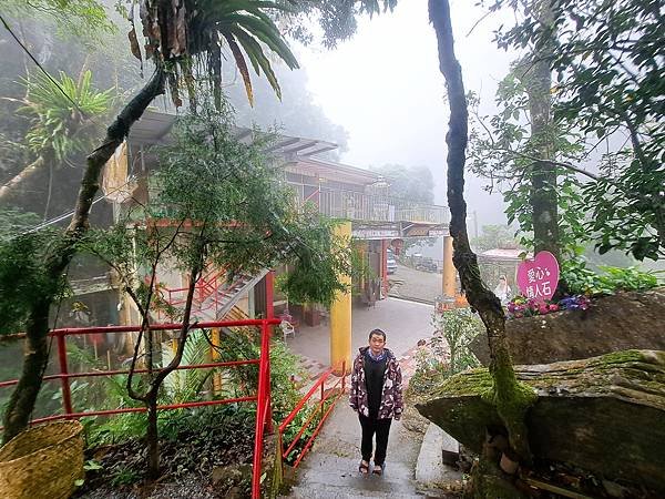 旅遊回顧(上)