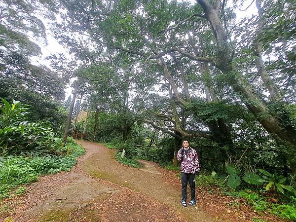 114.1.1石門山登山步道(上)