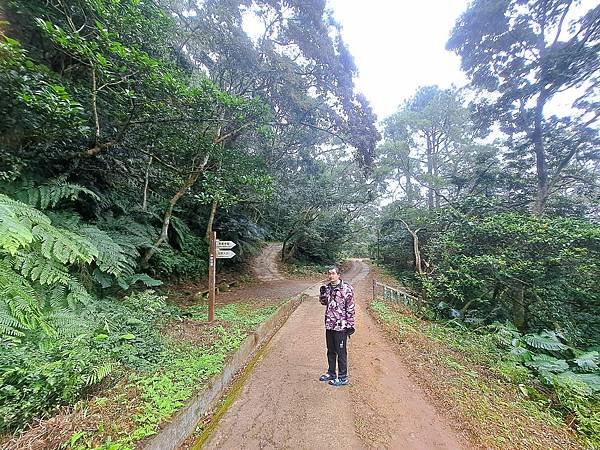 114.1.1石門山登山步道(上)