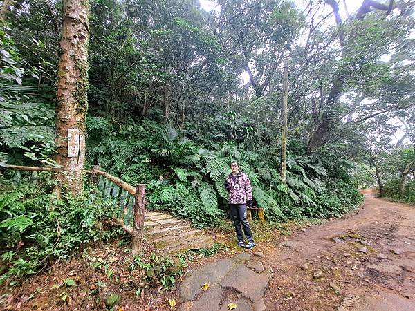 114.1.1石門山登山步道(上)