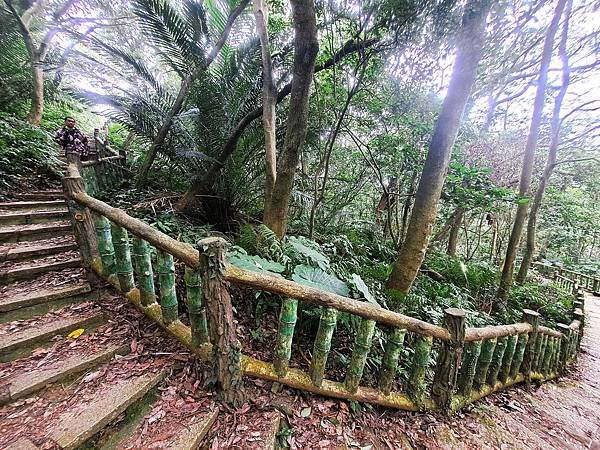 114.1.1石門山登山步道(上)