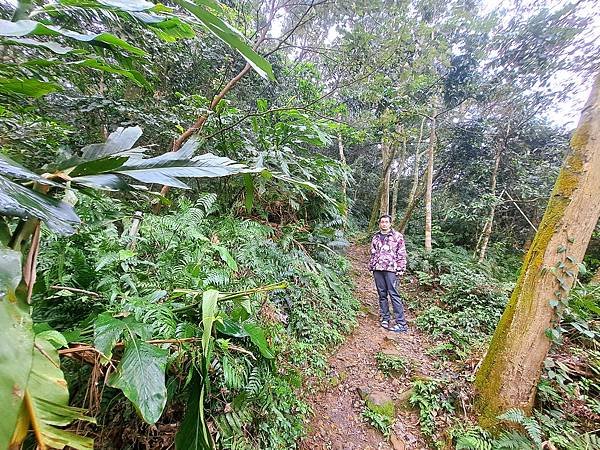 114.1.1石門山登山步道(上)