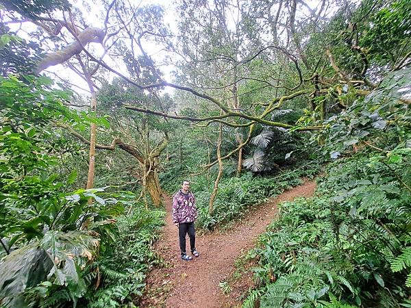 114.1.1石門山登山步道(上)