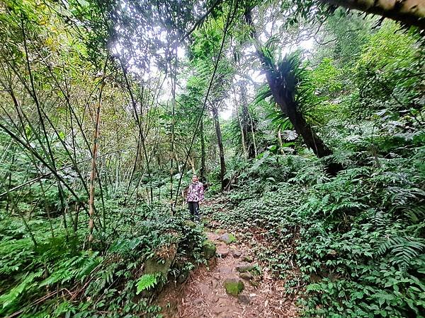 114.1.1石門山登山步道(上)