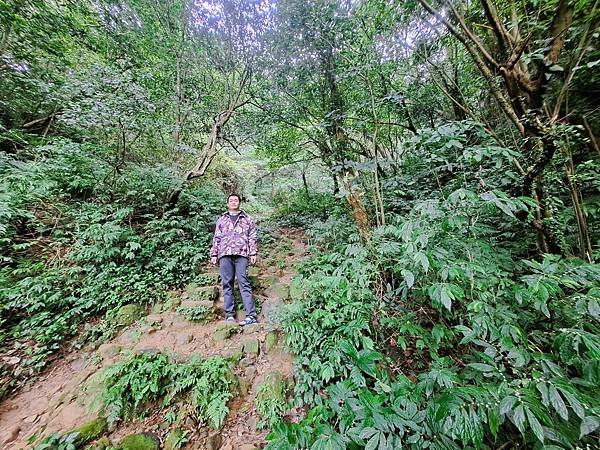 114.1.1石門山登山步道(上)