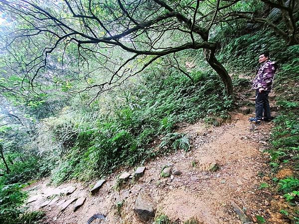 114.1.1石門山登山步道(上)