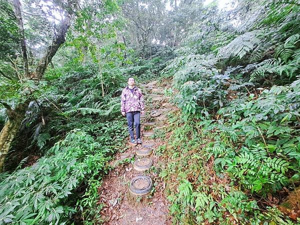 114.1.1石門山登山步道(上)