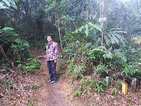 114.1.1石門山登山步道(上)