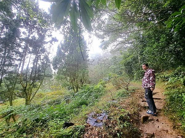 114.1.1石門山登山步道(上)