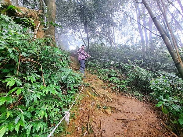 114.1.1石門山登山步道(上)