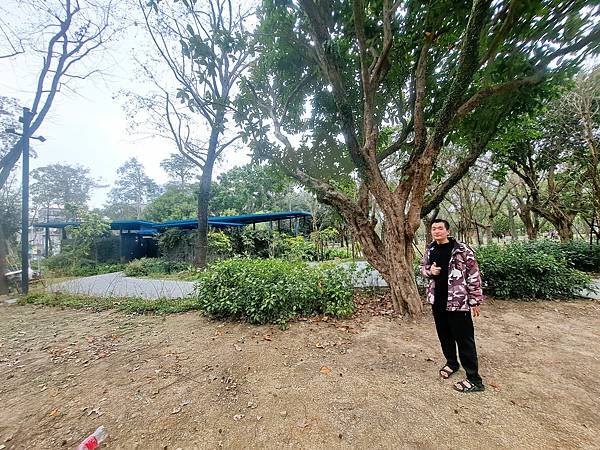 114.1.31大安森林公園