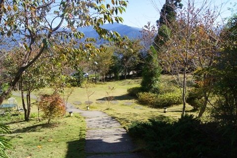 DSC06403