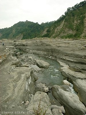 R0053822.JPG