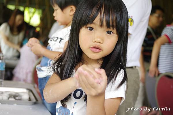IMGP8312.jpg