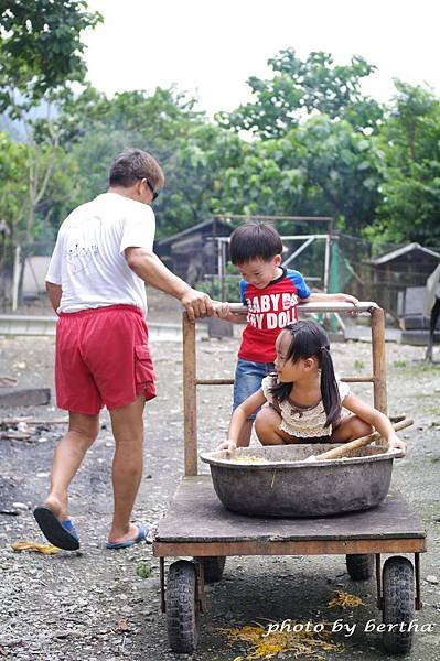 IMGP8972.jpg