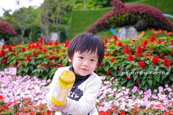 3月31一豆在花博.jpg