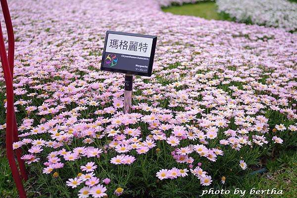 3月31日 花博新生公園-2.jpg