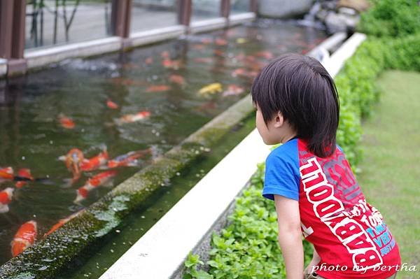 5月13日一豆在日光行館-14.jpg