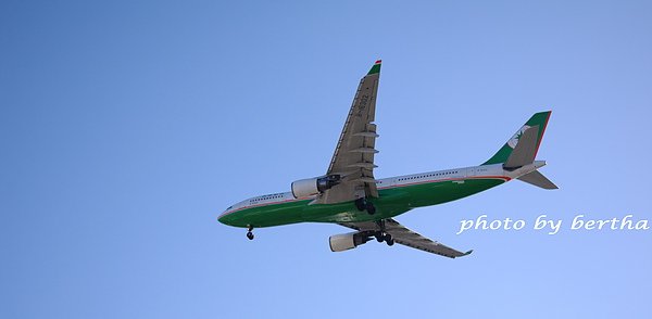 IMGP3435.jpg