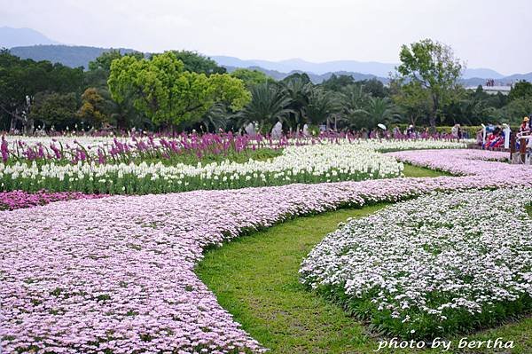 3月31日 花博新生公園-1.jpg