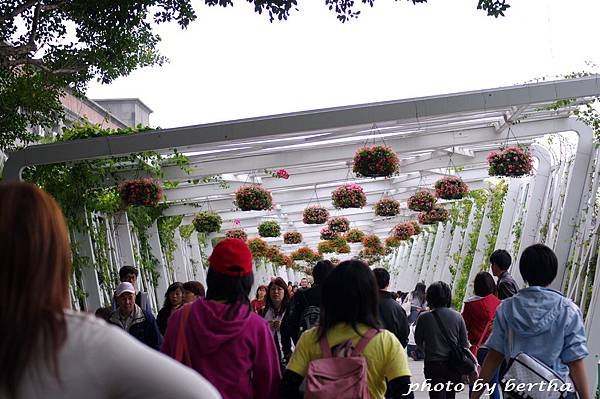 3月31日 花博新生公園-12.jpg
