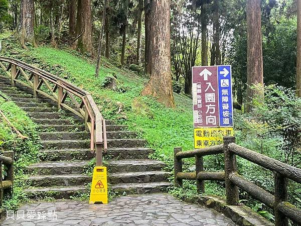 【南投鹿谷】溪頭自然教育園區 | 溪頭森林遊樂區 | 南投景