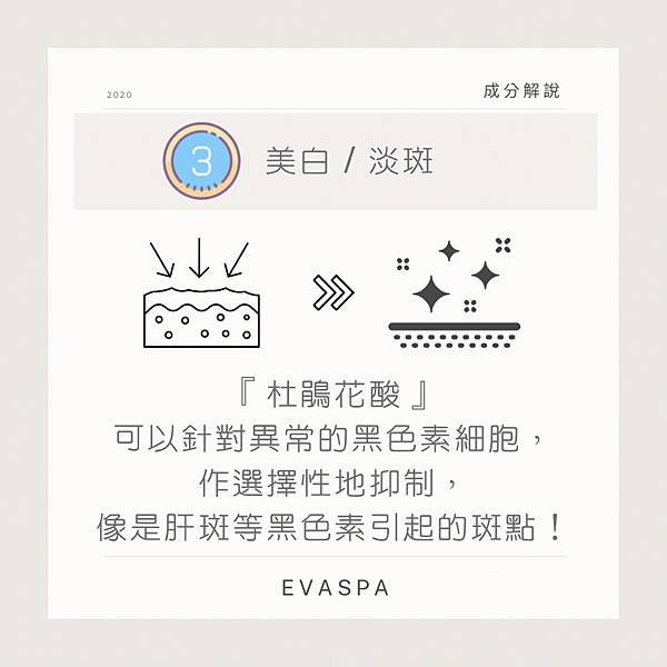 EVASPA燕仔愛漂靚 美容成份 杜鵑花酸