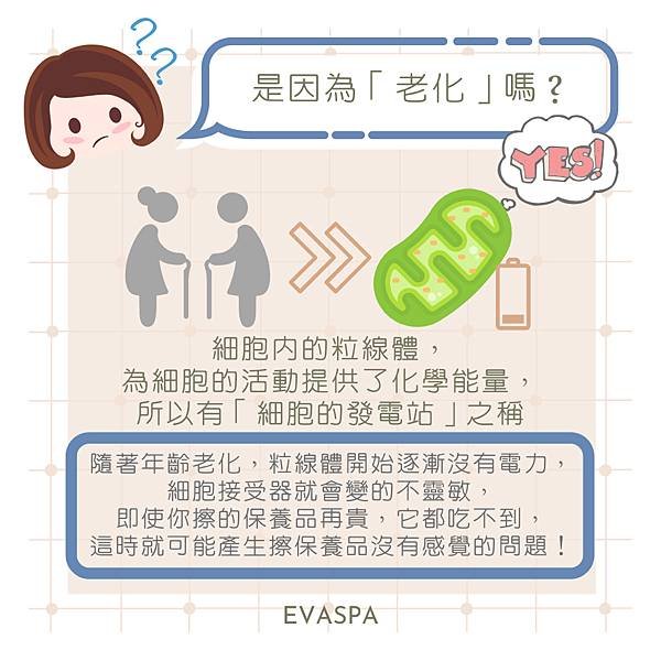  EVASPA燕仔愛漂靚  皮膚護理 為什麼保養品擦了都沒感覺？