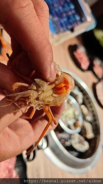 桃園南崁~新開幕火烤兩吃通通吃到飽|飲料啤酒任你喝!最低只要