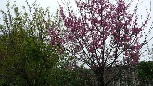 P1130320.JPG