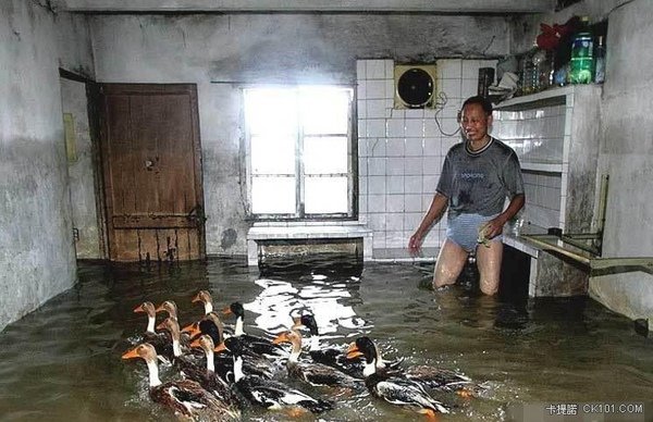 淹大水他卻笑了.jpg