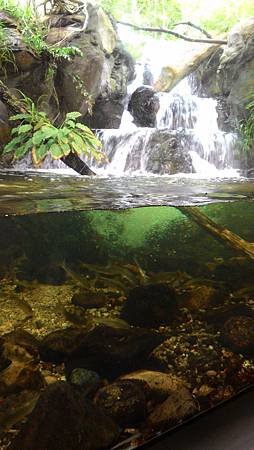 P_20140817_114142
