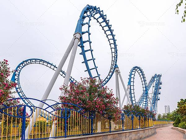 Tips to Buy Roller Coaster Rid