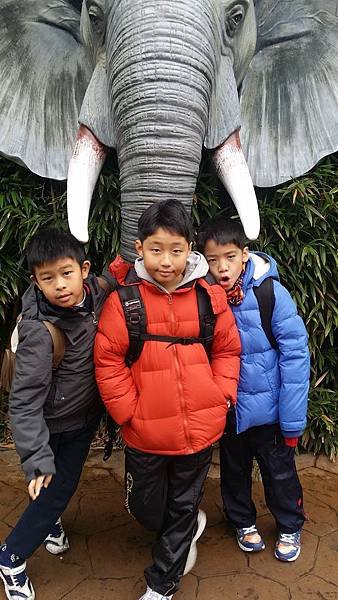 20150206_124814.jpg