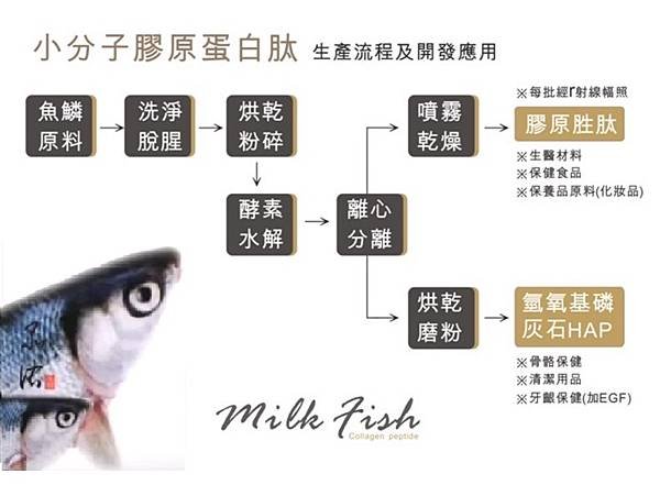 生產流程.jpg