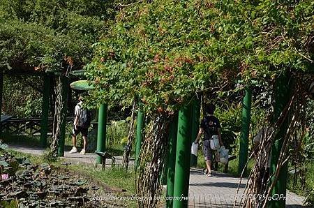 20130729台北市立植物園 009_nEO_IMG.jpg