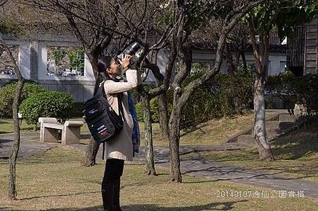 20140107逸仙公園 017_nEO_IMG.jpg