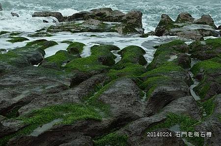 20140224三芝、老梅石槽 103_nEO_IMG.jpg