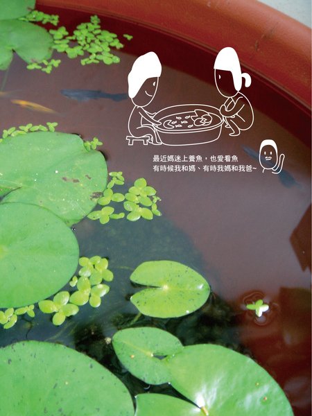 b090725008.bmp