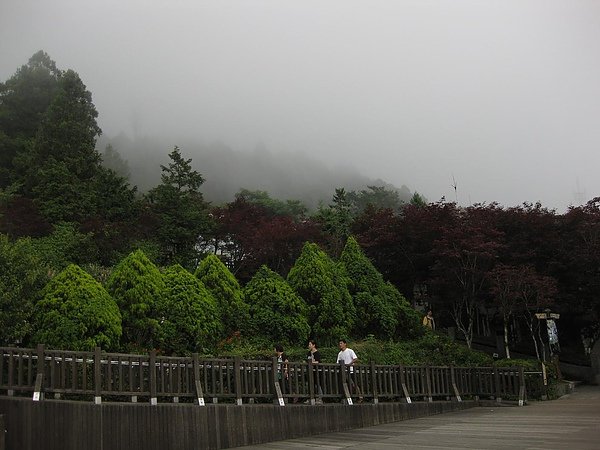 照片 250.JPG